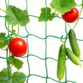 6.6x32.8FT Trellis Netting for Climbing Plants,Trellis Netting with Plant Clips, Heavy-Duty PE Trellis Net for Cucumber, Tomato, Vegetables, Fruits, Sweet Pea Plants - size: 6.6x32.8FT
