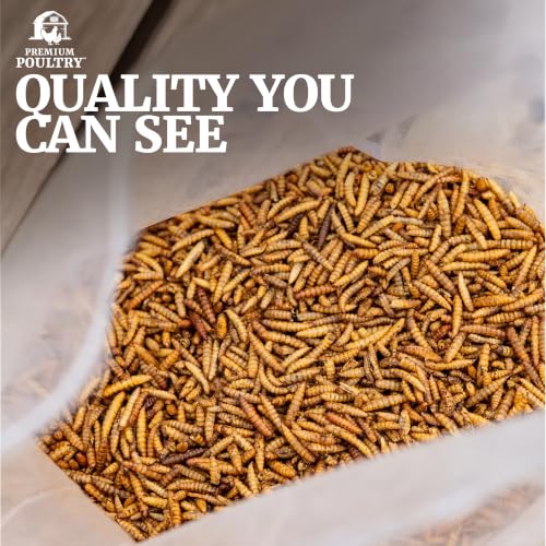 5Lb Black Soldier Fly Larvae for Birds, 20Lbs Total, 4-Pack - size: 20lb, style: Soldier Fly Larvae