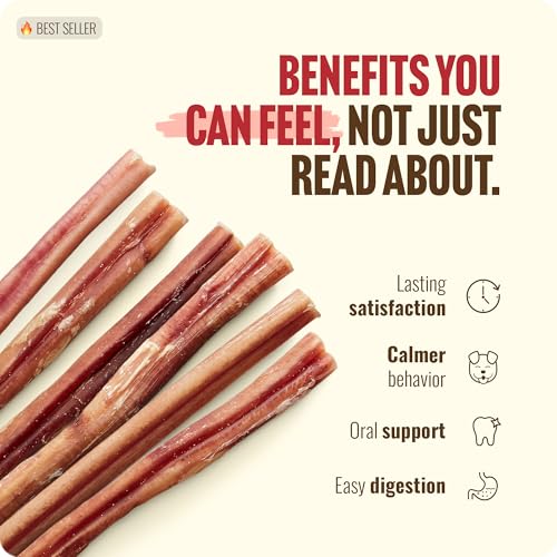 Natural Farm Odor-Free Bully Sticks (12 Inch, 12 Pack), 1.2 lbs. Per Bag, 100% Beef Pizzle Chews, Grass-Fed, Non-GMO, Fully Digestible Long Lasting Best Dental Treats to Keep Your Dogs Busy - size: 12" Standard - 12 Count
