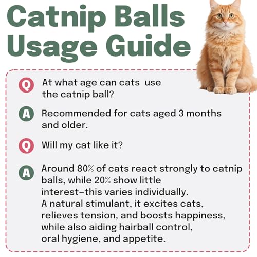 Catnip Balls 6 Pack with Natural Silvervine & Gall Fruit