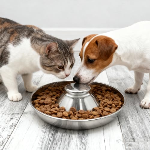 2 Pack Stainless Steel Puppy Bowls, Non-Skid Slow Feeder Bowls for Dogs, Raised Dog Food and Water Dish for Feeding Small Medium Large Breeds, Cats and Multiple Pets - color: 10inch*2