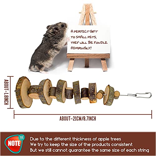 Small Animal Chews Toy Apple Wood Block Cage Hanging Molars Treats Snack