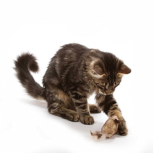 OurPet's Play-N-Squeak Twice the Mice Cat Toy, 2 Pack, with Catnip Inside - style: Twice the Mice (Pack of 2)