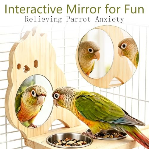 Parrot Bird Perch with Mirror and Stainless Steel Feeding Cups - color: D