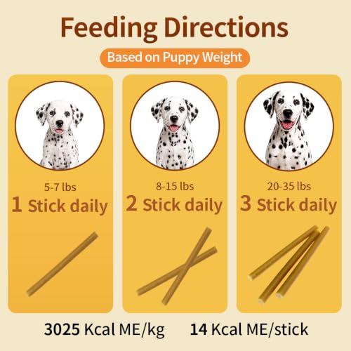 N-Bone Puppy Teething Sticks, Pumpkin Flavor, Natural Puppy Chew Sticks & Teething Treats, SQF Certified, Made with Rice Flour for Easy Digestion, Calcium Enriched (3.7oz) - size: 3.7 Ounce (Pack of 1)
