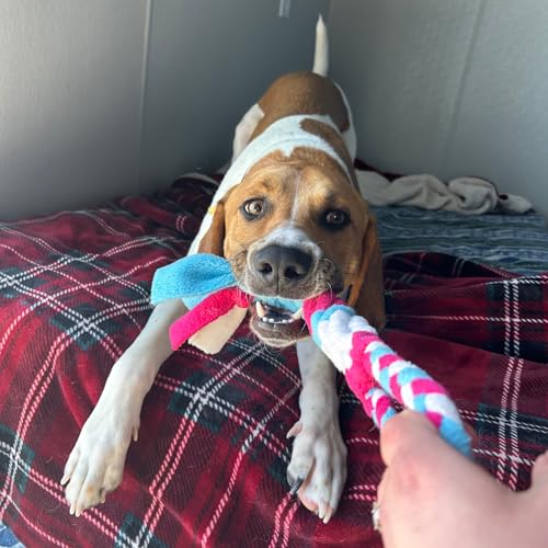 Patented Fleece Tug Toy for Dogs (Blue) - color: BLUE