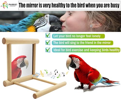 Bllesqelax Bird Parakeet Mirror for Cage,Parrot Perch Stand,Wooden Hummingbird Swing Toy,Parakeet Accessories for Cockatiels Conure Finch Lovebird Canary African Grey Macaw