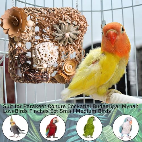 Bird Foraging Wall Toy, Seagrass Woven Climbing Hammock Mat with Chewing Toys,Parrot Shredding Hanging Toys for Cockatiel Lovebird Parakeet Budgie Small-Medium Birds (Small)