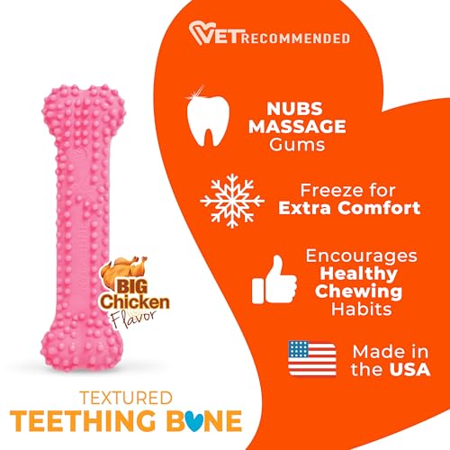 Nylabone Puppy Chew Pink Textured Teething Dog Bone, X-Small - color: Pink, size: X-Small
