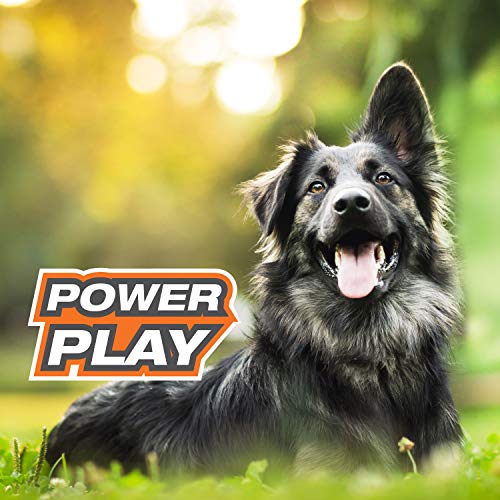 Nylabone Power Play Basketball Gripz Dog Play Toy, Large - size: Large
