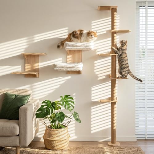 Cat Wall Shelves, Branch Style 2 Platform Cats Walls Furniture. - color: brown