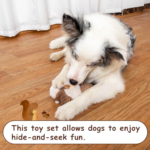 Hollypet Squeaky Hide and Seek Dog Toys for Small and Medium, Pine Cone - style: Pine Cone