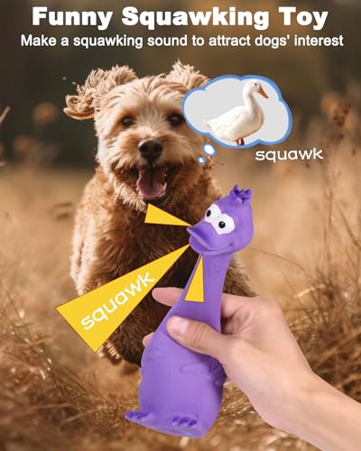 SCHITEC Squeaky Dog Toys, [2 Pack] Squawking Latex Toy with Interactive Squeaker, Squeak Rubber Duck Chicken for Medium Small Dogs - style: Chick & Fox