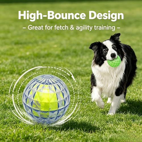 Squeaky Dog Balls 3-Pack, Ball-in-Ball Design with Inner Tennis Ball, Squeeze-to-Squeak TPR Chew Toys, High-Bounce Floating Fetch Balls for Pool Beach Training, Easy-Clean Puppy Teething Toy