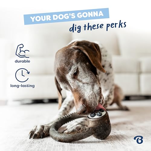 Benebone Ring Dog Chew Toy for Aggressive Chewers, Blueberry, Small - color: REAL Blueberry, size: Small