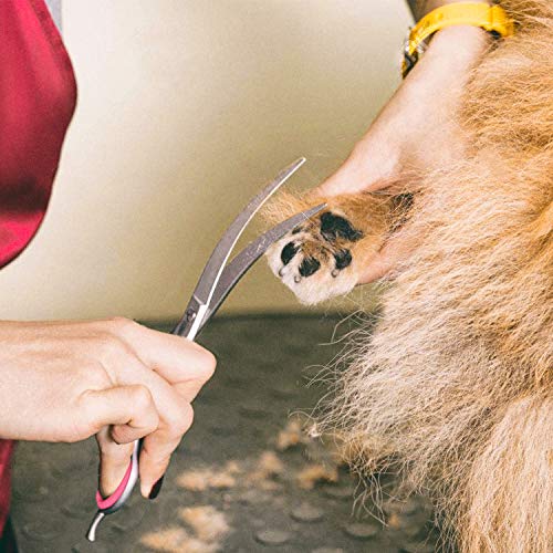 Gimars 7.0in Professional 4CR Stainless Steel Safety Round Tip 6 in 1 Dog Grooming Scissors Heavy Duty Titanium Coated Pet Grooming Scissor for Dogs, Cats and Other Animals - style: 7inch Silver Round Tip 6 in 1 Professional