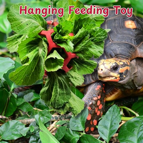 5.5in Turtle Feeder Ball with Chain, Hanging Tortoise Treat Ball, Turtle Enrichment Toys, Turtles Hay Feeding Balls, Foraging Food Toy for Small Pet Rabbit Guinea Pig, Tortoise Accessories (Red, L) - color: Red, L