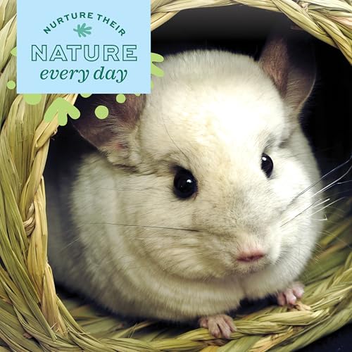 Oxbow Timothy Hay Bungalow, Guinea Pig Hideout & Rabbit House, Medium - size: Medium (Pack of 1)