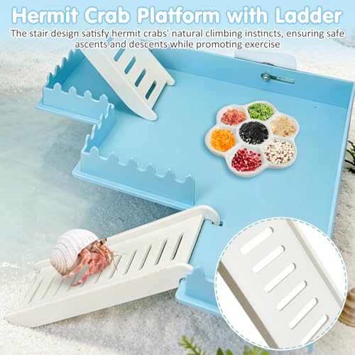 Hermit Crab Climbing Platform Habitat Tank Accessories - color: Blue