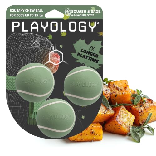 Playology Squeaky Chew Ball Dog Toy - Small, Squash Scent, 3-Pack - size: Small (VALUE 3-Pack), style: Butternut Squash & Sage