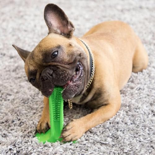 Dog Chew Toy Toothbrush Stick for Aggressive Chewers, Interactive Dog Toy - color: Green, size: L