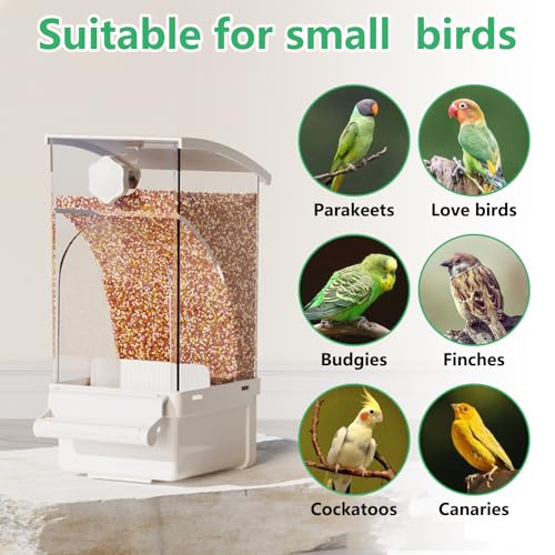 Hamiledyi 2Pcs Automatic Birds Feeder No Mess Bird Cage Feeder Transparent Acrylic Parrot Seed Food Container with Perch Bird Cage Accessories for Parakeet Finch Lovebirds Budgies Canary (White) - color: White Transparent - 2