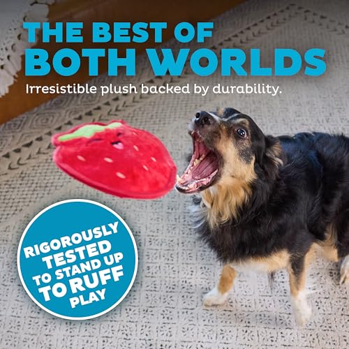 Outward Hound Tough Skinz Durable Chew Squeaky Dog Toy, Strawberry, 7.9" - color: Strawberry, size: Medium