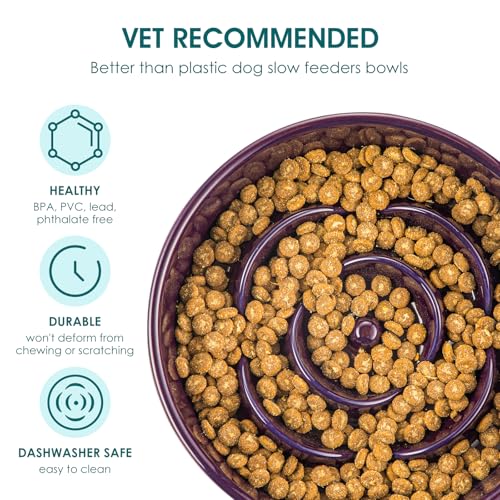 vancasso Slow Feeder Dog Bowl, 3 Cups Ceramic Puzzle Dish for Large Breed - color: Dark Purple, size: L - 3 Cups