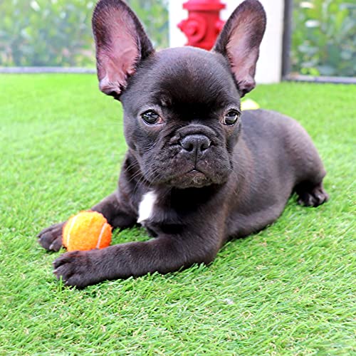 Midlee Mini Dog Tennis Balls, 1.5", Assorted Colors, Set of 25