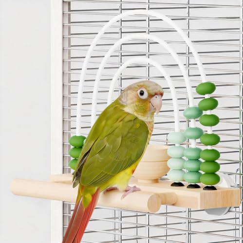 Wooden Foraging Bird Toy with Treat Box & Abacus Beads