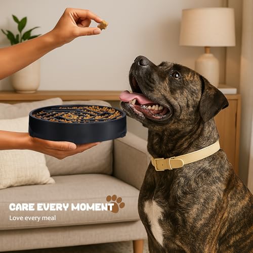WHIPPY Slow Feeder Dog Bowl, Puzzle Maze Design to Slow Down Eating, 3-Cup Capacity, Anti-Gulping Food Bowl for Medium & Large Dogs,Sky Blue - color: sky blue