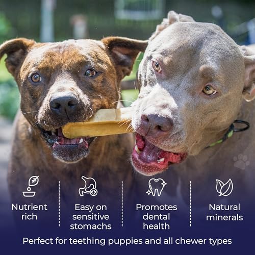 Devil Dog Pet Co Himalayan Yak Chews for Medium Dogs, Yak Cheese 12 Pack - style: Medium - 12 Pack
