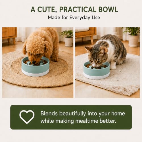 Ceramic Slow Feeder Dog Bowl, 0.6 Cup, Light Green Bowl&White Base - color: Light Green with White Silicone Base