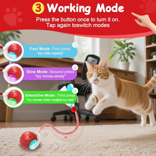 Interactive Cat Toys Smart Ball for Cats & Dogs! Now with 2 Rapid Tails. Features: 360°Auto-Rolling, Motion Activation& Bird Sounds. Perfect for Indoor Pet Exercise & Fun. (Yellow＆Green) - color: Yellow＆Green