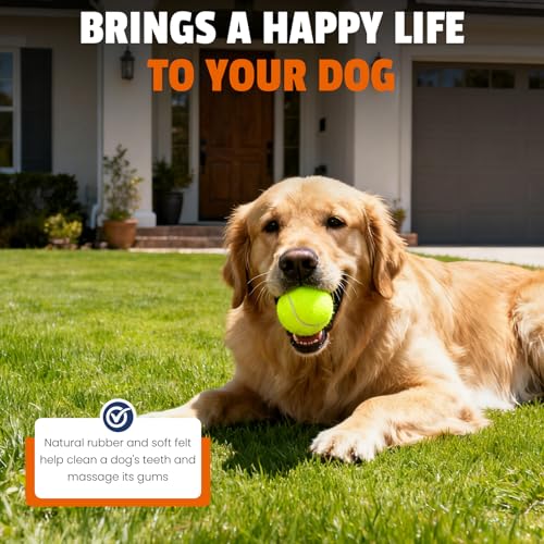 FURWEY Yellow Tennis Balls for Dogs, 2.5 inches, 16 Pack, Non Squeaky - color: yellow, size: 16P