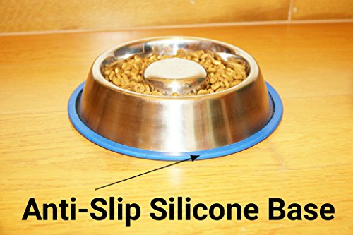 Mr. Peanut's Stainless Steel Interactive Slow Feed Dog Bowl with a Blue Base, Fun Healthy Bloat Stop Feeder (Large) - size: Large