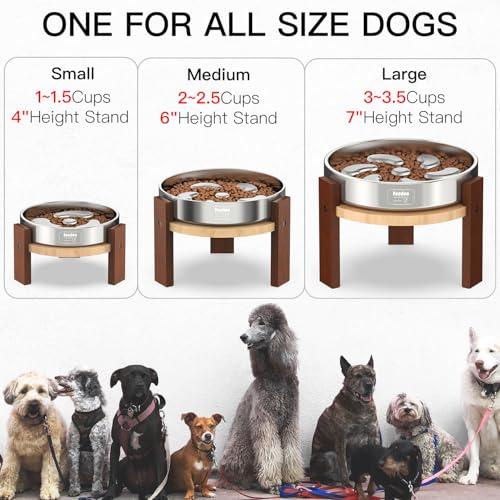 Feedoo Elevated Dog Bowl Stand, 6'' Height Raised Stand for Medium Dogs, Includes 2Cups Stainless Steel Slow Feeder Dog Bowl, Durable Solid Hardwood - color: 6" Height 2Cups Slow Feeder