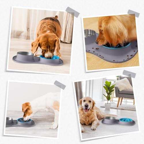 MateeyLife Dog Food and Water Bowl Set 3 in 1, Slow Feeder Dog Bowls & Stainless Steel Water Bowl with Non-Spill Silicone Mat, Cat and Puppy Bowls Pet Dishes for Small Medium Large Breed Anti-Choking - color: Gray, size: Small