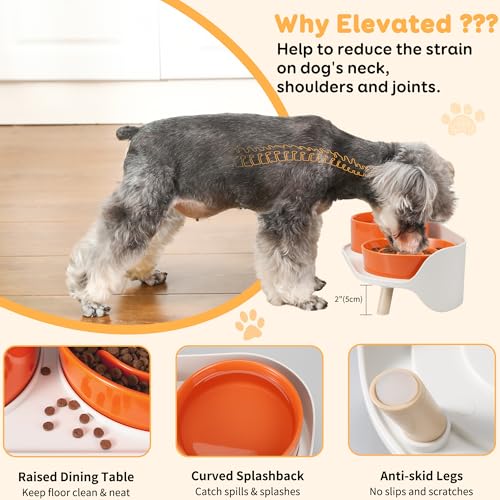 Elevated Slow Feeder Dog Bowls with Splash Proof Stand, Slow Eating 5X - color: Orange