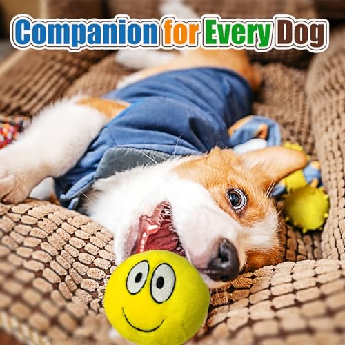 HOLYSTEED Plush Squeaky Dog Toys for Small, Medium Breeds, 2.9" Flat Balls