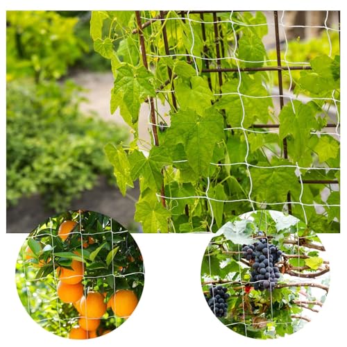 Heavy Duty Garden Trellis Netting, 6 x 30 ft, White, Rectangular, Reusable, Supports Vine Vegetables Fruits Flowers, Ideal for Vertical Horizontal Gardening - size: 6x30ft - 2 Pack