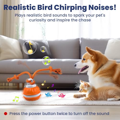 PAWSPIK Rope Runner Interactive Rechargeable Dog Ball Toy, Small