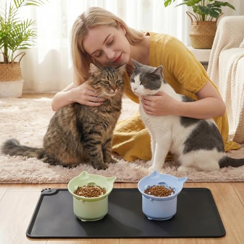 Silicone Cat Slow Feeder Mat & Bowl Set, 2 Non-Slip Slow Feed Bowls + 1 Large Licking Mat for Cats and Small Dogs, Interactive Pet Feeding Solution for Mealtime Enrichment and Digestion Aid