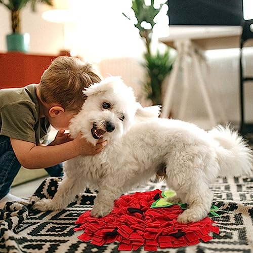 Strawberry Snuffle Mat for Dogs,Large 17.7x13.8in Scent Training Puzzle Toy - color: Strawberry