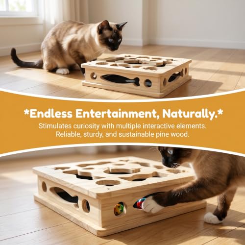 Cat Puzzle Toy,Cat Scratch Puzzle Enrichment Box,Cat Nail File Scratcher,Porous Design,Stimulate Cats Exploratory &Slow Down Eat Speed,Built in Frosted Paper,Polish Their Nail While Play - color: Style 4