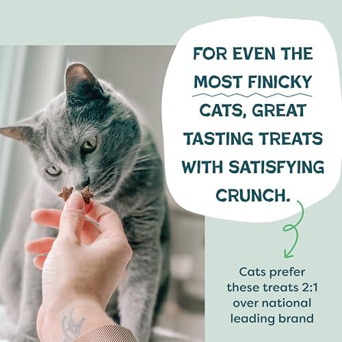 Shameless Pets Catnip N Chill Crunchy Cat Treats (Pack of 2) - size: 2.5 Ounce (Pack of 2)