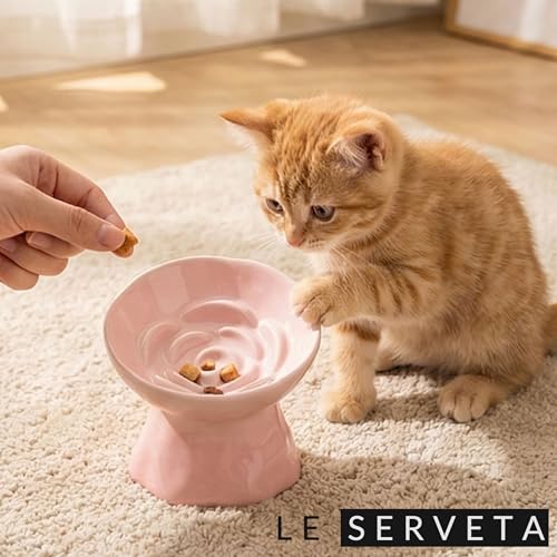 Elevated Ceramic Cat Bowl, Tilted Slow Feeder Pet Dish with Gradient Color Coating, 3.3 Ounces Capacity, Anti-Gulping Design with Rose Bouquet Design (Gradient Pink) - color: Gradient Pink
