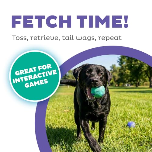 Outward Hound FlyFetch Rubber Fetch Ballz Dog Toy, Bounces & Floats, Launcher Compatible, 2.6", 2-Pack