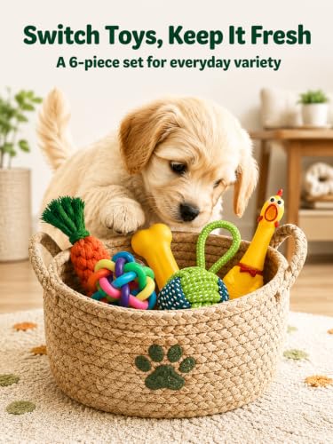 6-Piece Puppy Rope Chew Toy Set, Knotted Interactive Toys and Flying Disc for Small Medium Dogs, Tug and Fetch Play