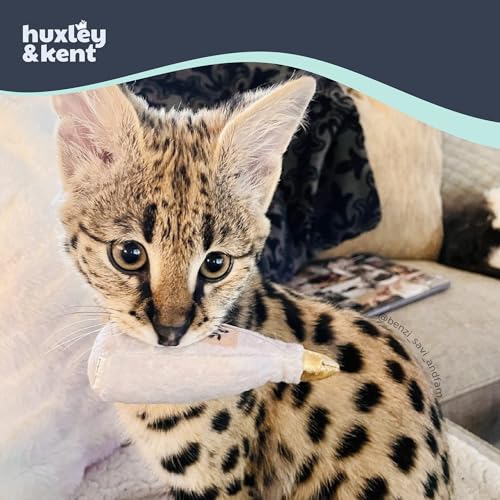 Huxley & Kent Plush Crinkle Catnip Cat Toy, Toto's Pawdka - style: Toto's Pawdka